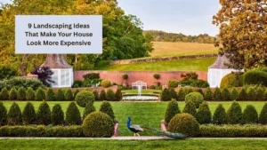 9 Landscaping Ideas That Make Your House Look More Expensive