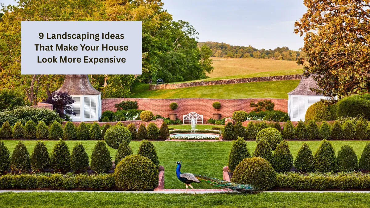 9 Landscaping Ideas That Make Your House Look More Expensive