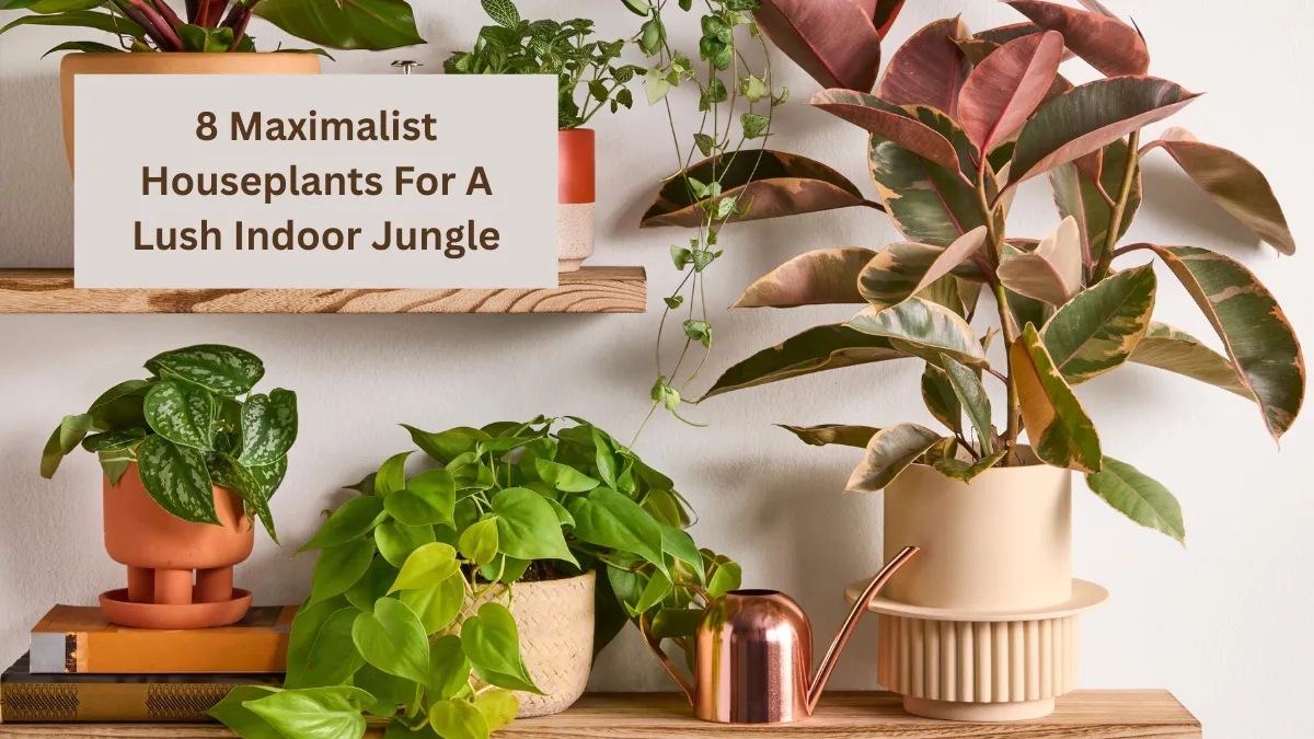 8 Maximalist Houseplants For A Lush Indoor Jungle