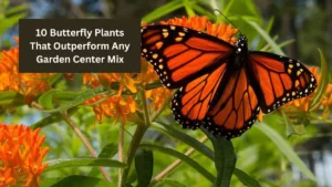 10 Butterfly Plants That Outperform Any Garden Center Mix