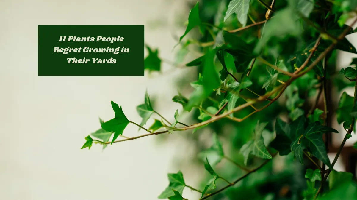 11 Plants People Regret Growing in Their Yards